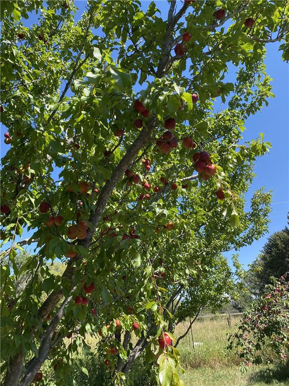 157 Hergenrider ROAD, Bridger, MT 59014 photo 12