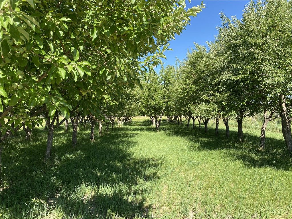 157 Hergenrider ROAD, Bridger, MT 59014 photo 14