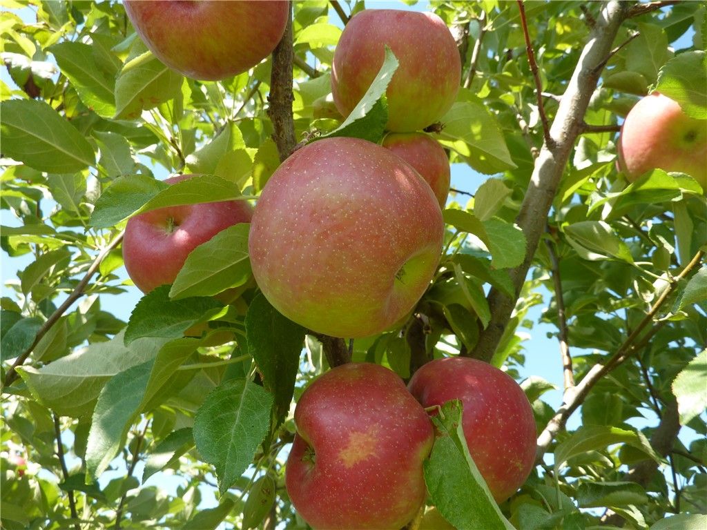 157 Hergenrider ROAD, Bridger, MT 59014 photo 7