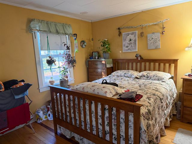 5 Pleasant Street, Bristol, VT 05443