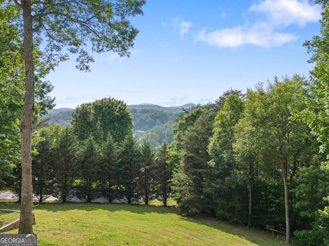 115 Wildcat Run, Suches, GA 30572