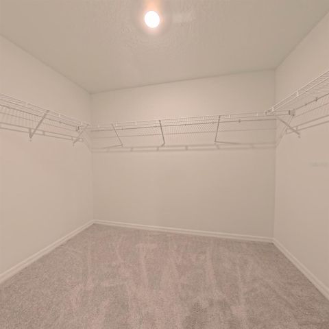 12727 MAPLE BONSAI DRIVE, Riverview, FL 33579