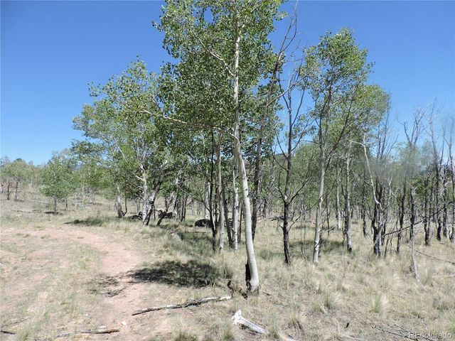 534 Concord Drive, Jefferson, CO 80456