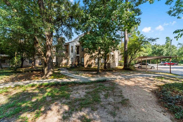3500 Tangle Brush Drive 178, The Woodlands, TX 77381