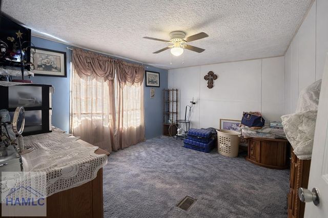 459 Alexandar Mill Pond Road, Collins, GA 30421