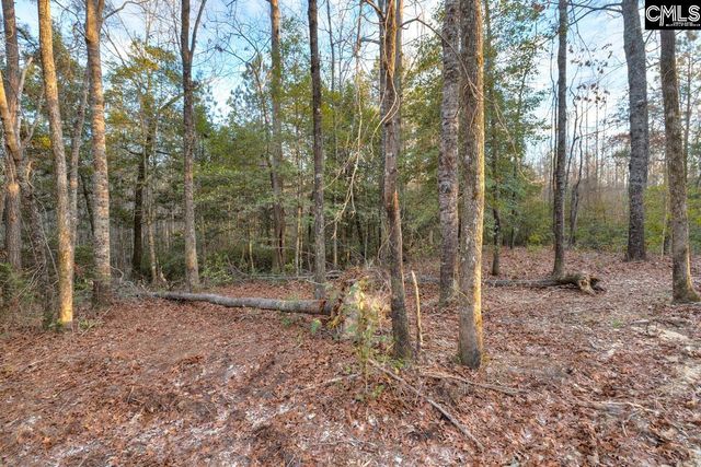 161 Raglins Way, Lugoff, SC 29078