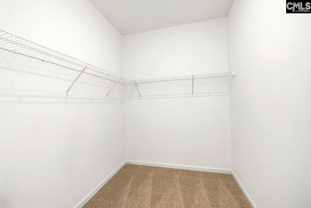 161 Raglins Way, Lugoff, SC 29078