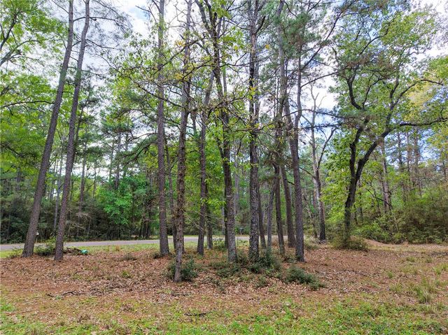 15777 Post Oak Road, Plantersville, TX 77363