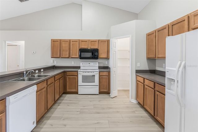 1037 BLUEGRASS DRIVE, Groveland, FL 34736