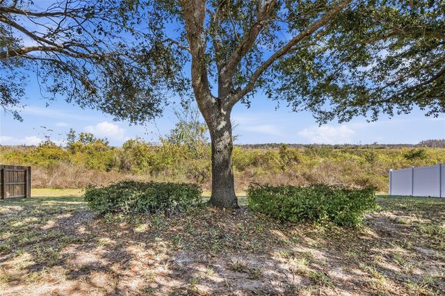 1037 BLUEGRASS DRIVE, Groveland, FL 34736