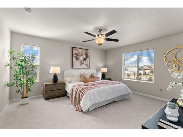 11703 Niagara St, Thornton, CO 80233