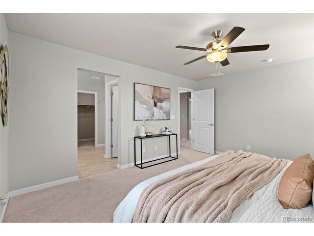 11703 Niagara St, Thornton, CO 80233