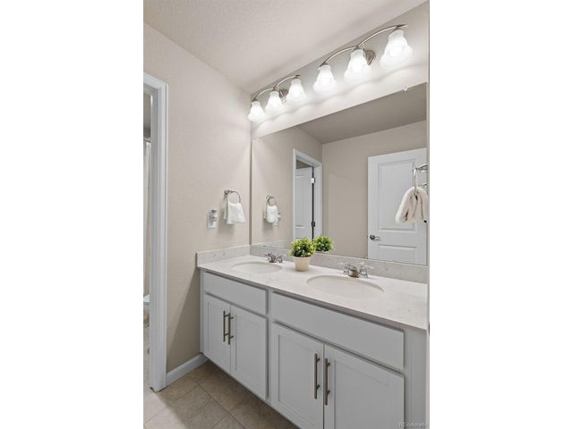 11703 Niagara St, Thornton, CO 80233