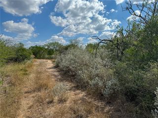 101 CR 147, George West, TX 78022