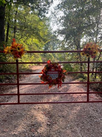 2890 Panther Creek Road, Fordland, MO 65652