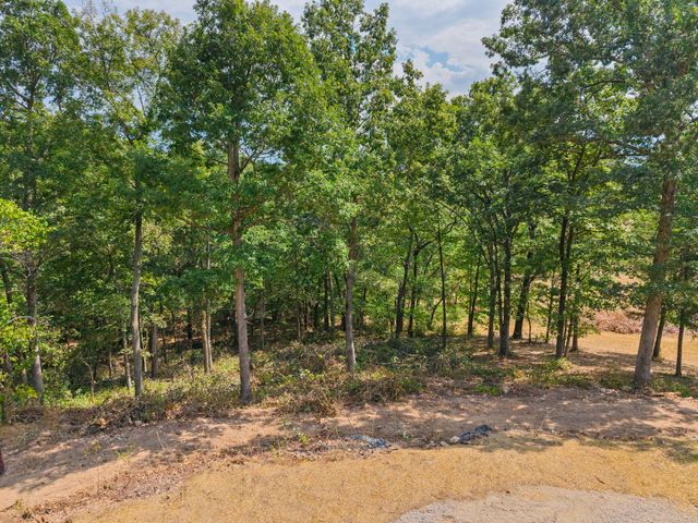 2890 Panther Creek Road, Fordland, MO 65652