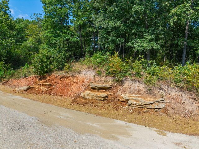 2890 Panther Creek Road, Fordland, MO 65652