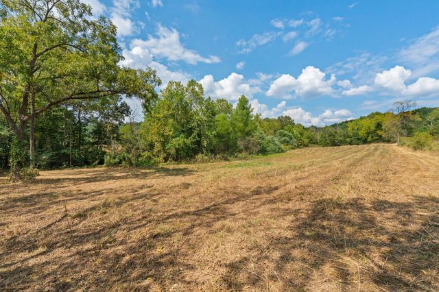 2890 Panther Creek Road, Fordland, MO 65652