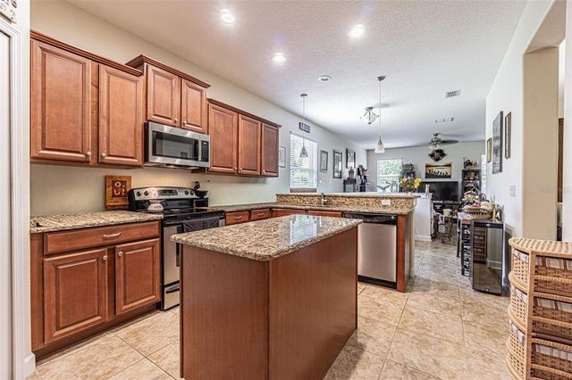 10661 BELMULLET DRIVE, San Antonio, FL 33576