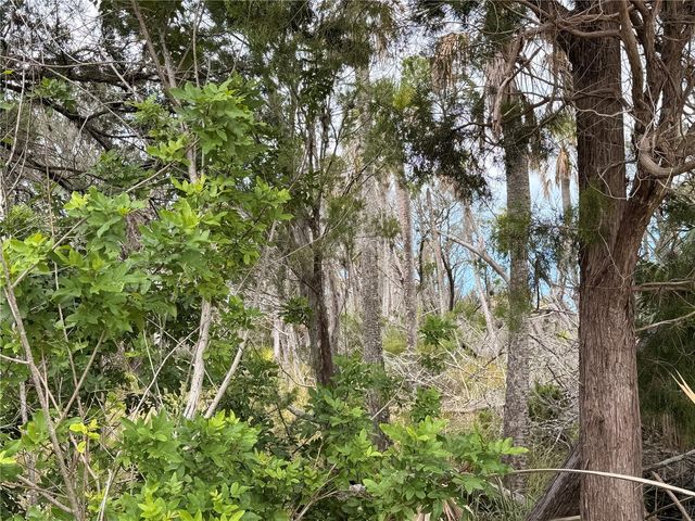11975 W WATERWOOD DRIVE, Crystal River, FL 34429
