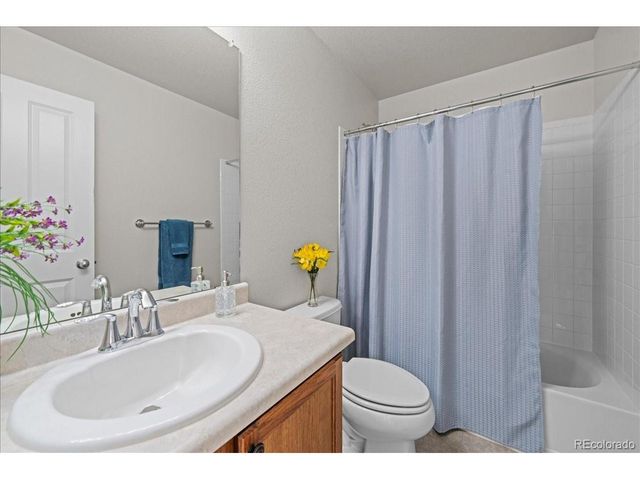 1058 Koss St, Erie, CO 80516