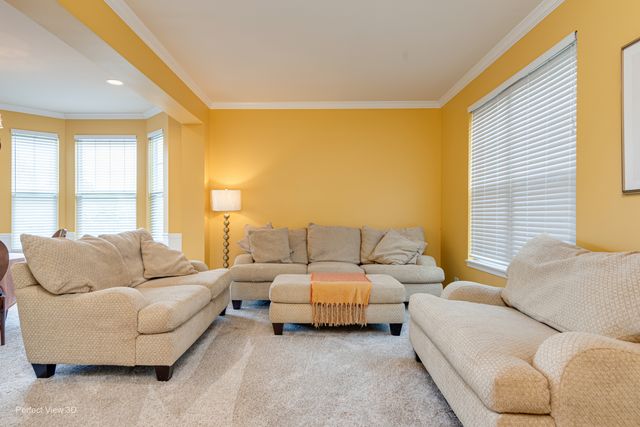 26602 Grande Poplar Court, Plainfield, IL 60585