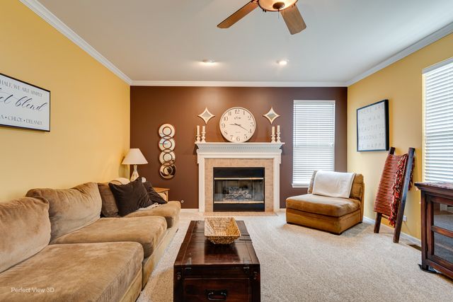 26602 Grande Poplar Court, Plainfield, IL 60585