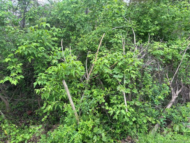 21 Washington Avenue N, White Plains, NY 10603