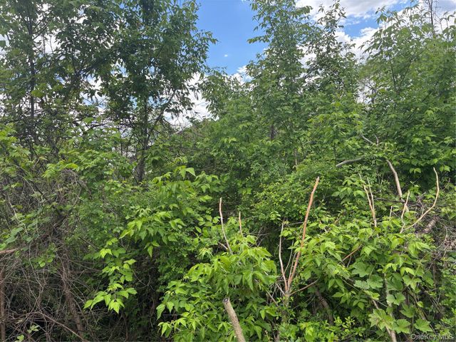 21 Washington Avenue N, White Plains, NY 10603