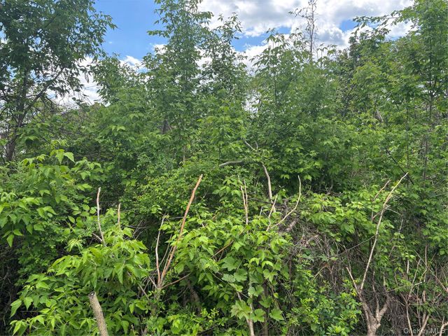 21 Washington Avenue N, White Plains, NY 10603