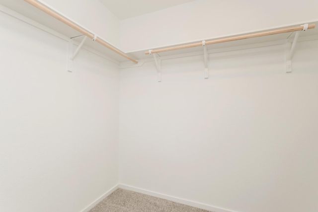 10813 Bird Of Paradise Lane, Houston, TX 77016