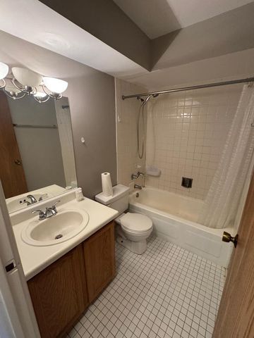 1477 Winslowe Drive 102, Palatine, IL 60074