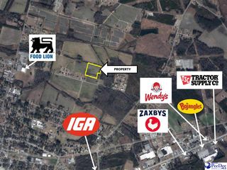 TBD Plantation Drive, Marion, SC 29571