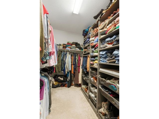 146 Kitselman Dr, Castle Rock, CO 80104