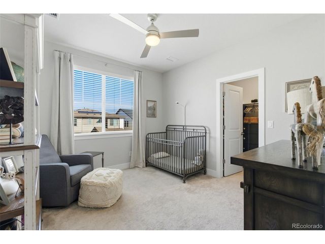 146 Kitselman Dr, Castle Rock, CO 80104