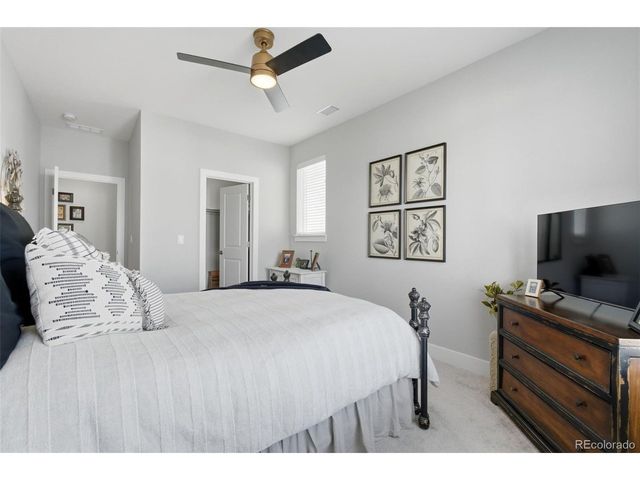 146 Kitselman Dr, Castle Rock, CO 80104