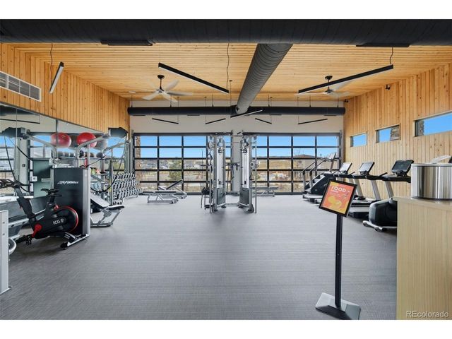 146 Kitselman Dr, Castle Rock, CO 80104