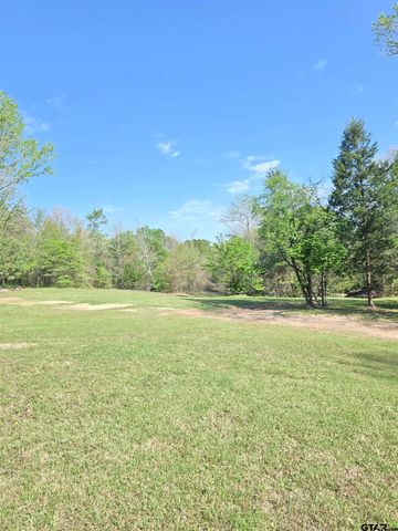 225 PR 3084, Gilmer, TX 75644