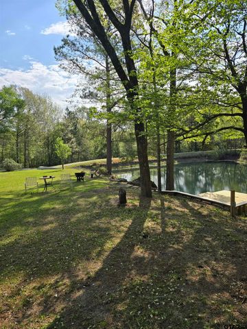 225 PR 3084, Gilmer, TX 75644