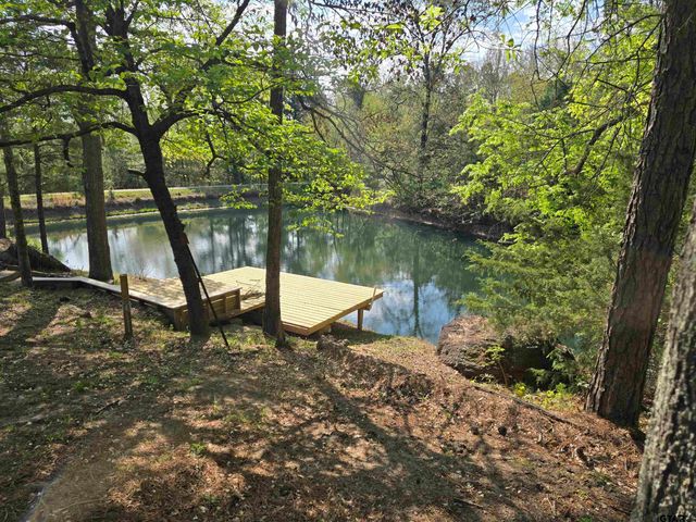 225 PR 3084, Gilmer, TX 75644