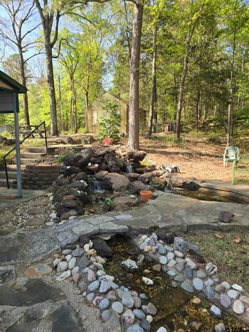 225 PR 3084, Gilmer, TX 75644