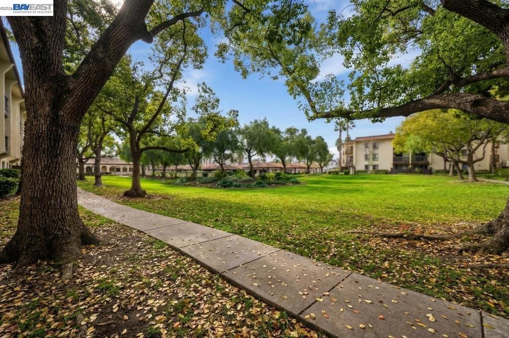 Image 29 of property listing at 39931 Cedar Blvd 309, Newark, CA 94560