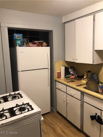 25151 Euclid Avenue, Euclid, OH 44117