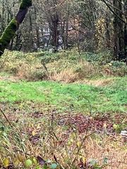 29280 NE 189th Street, Duvall, WA 98019