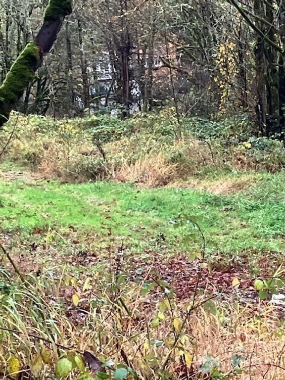 29280 NE 189th Street, Duvall, WA 98019