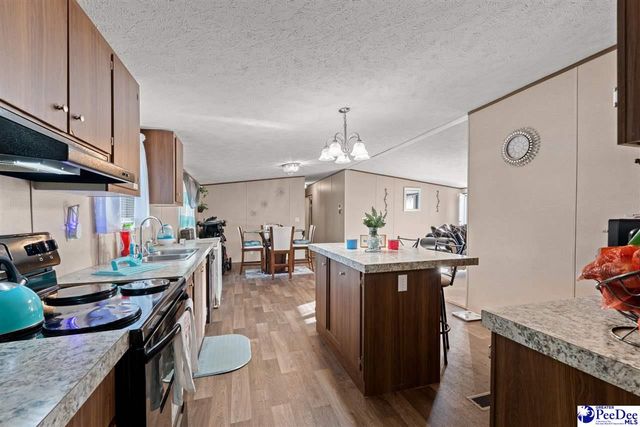 1115 Cartrell Brown Dr, Marion, SC 29571