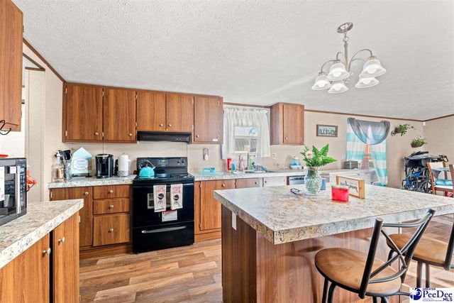 1115 Cartrell Brown Dr, Marion, SC 29571