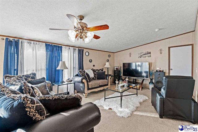 1115 Cartrell Brown Dr, Marion, SC 29571