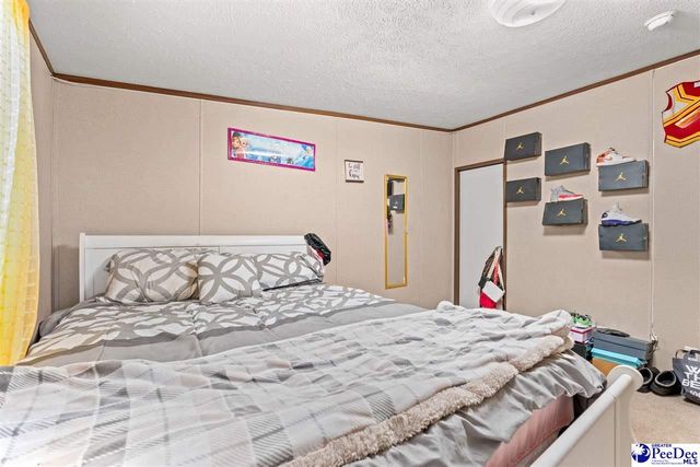 1115 Cartrell Brown Dr, Marion, SC 29571