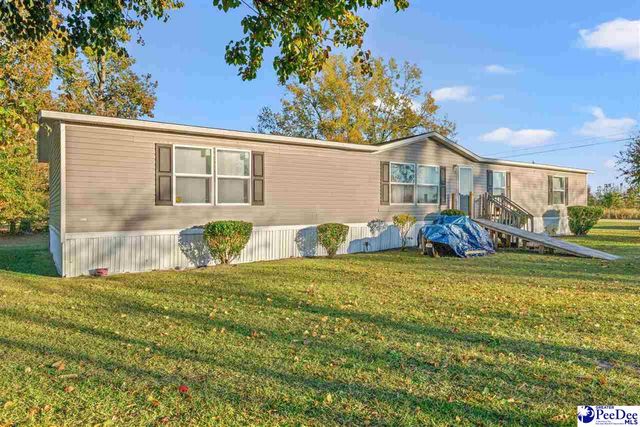 1115 Cartrell Brown Dr, Marion, SC 29571